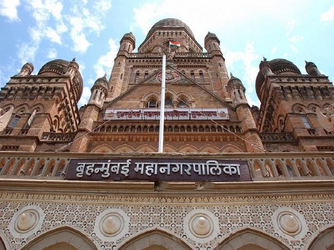 BMC Job : मुंबई महापालिकेत 473 वाहनचालकांची भरती अंतिम टप्प्यात; तरुणांसाठी मोठी संधी!