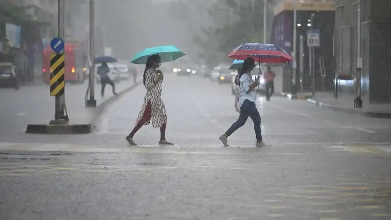 Maharashtra Weather Update : राज्यात मुसळधार पाऊस धुमाकूळ घालणार!